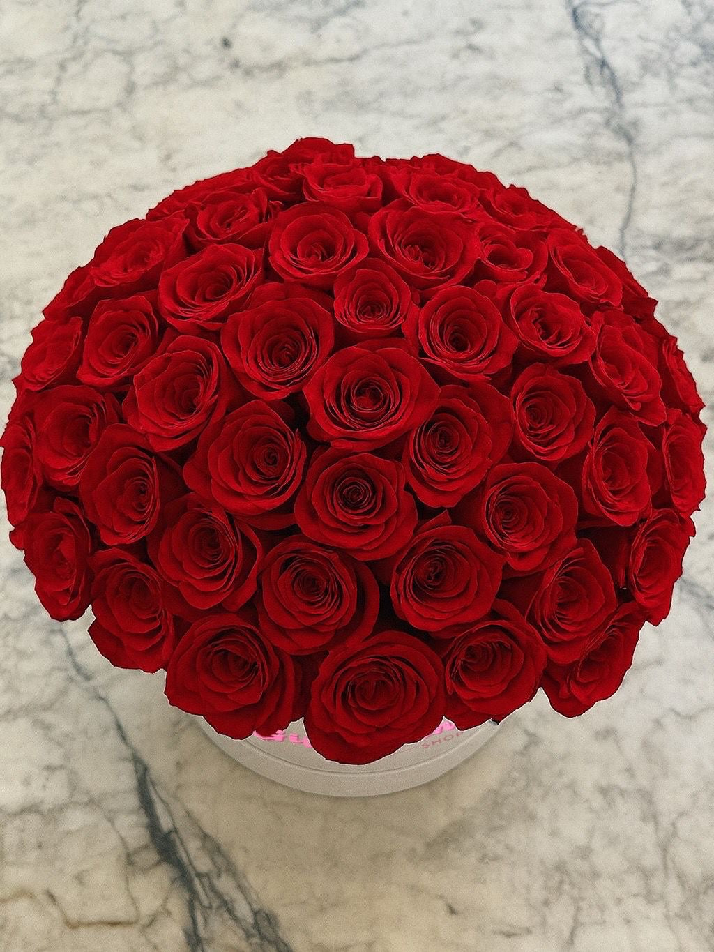 50 Red roses in nox